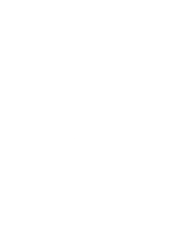 Stone Goose
