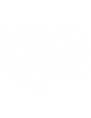 Stone Goose